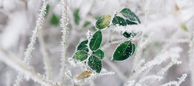 rodion-kutsaev-QN2BhLmoUJ0-unsplash